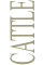 CATTLE